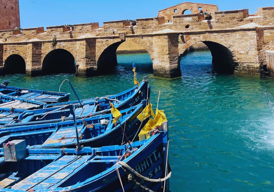 From Marrakesh: Essaouira Full-Day Trip - Practical Tips So Your Day Runs Smoothly