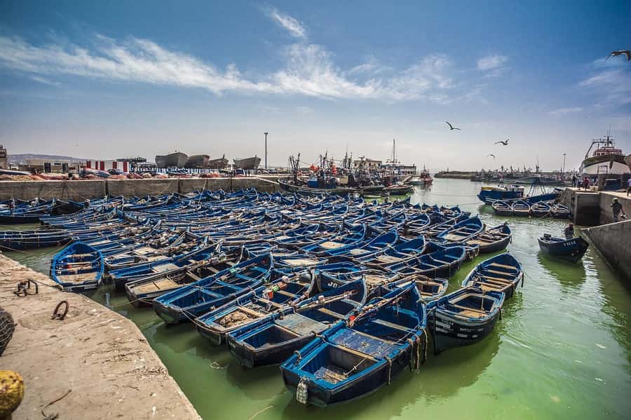 From Marrakesh: Small Group To Essaouira With Opt Activities - Getting there in an air-conditioned van, with real pickup options