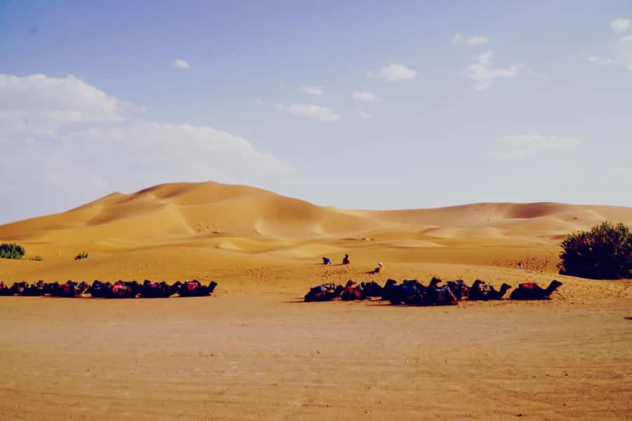 From Merzouga: Desert Overnight in Heated Tent & Camel Ride - Key things you will like