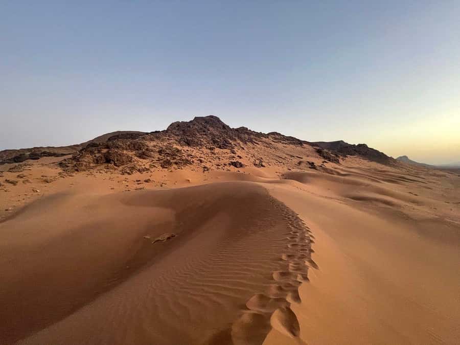 From Ouarzazate: 2-Day Excursion to Zagora Desert - From Ouarzazate to Zagora, the Sahara feeling in two days