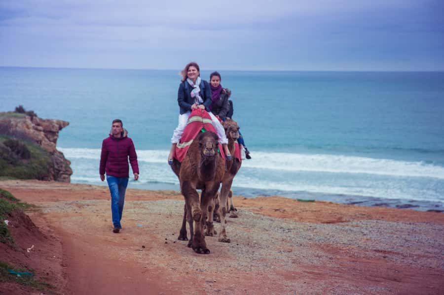 From Seville: Tangier Day Trip with Local Guide and Lunch - Comfort, Group Size, and the Reality of a Long Day