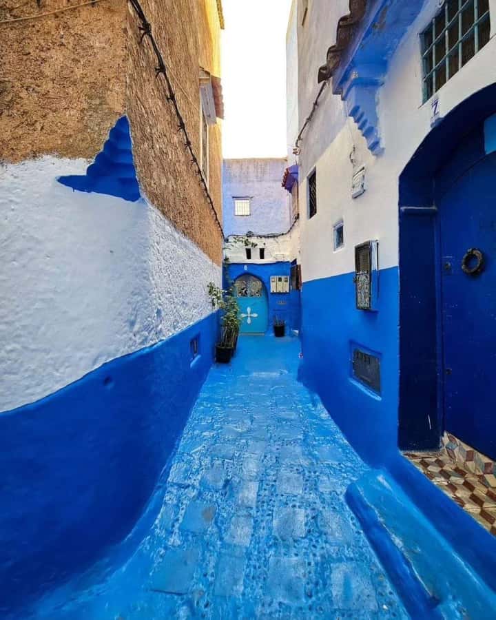 From Tangier: Asilah Tour with Tea Tasting & Camel Ride - Key things to notice before you go