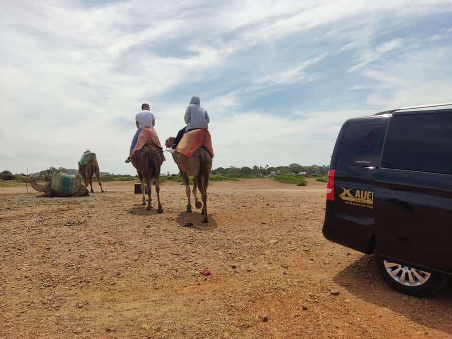 From Tangier: Cap Spartel and Hercules Cave with Camel Ride - Small details that make the day smoother