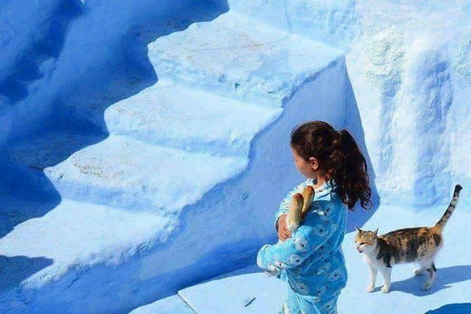 From Tangier: Chefchaouen Day Trip with Local Guide - Blue City Day Trips From Tangier, and why this one works