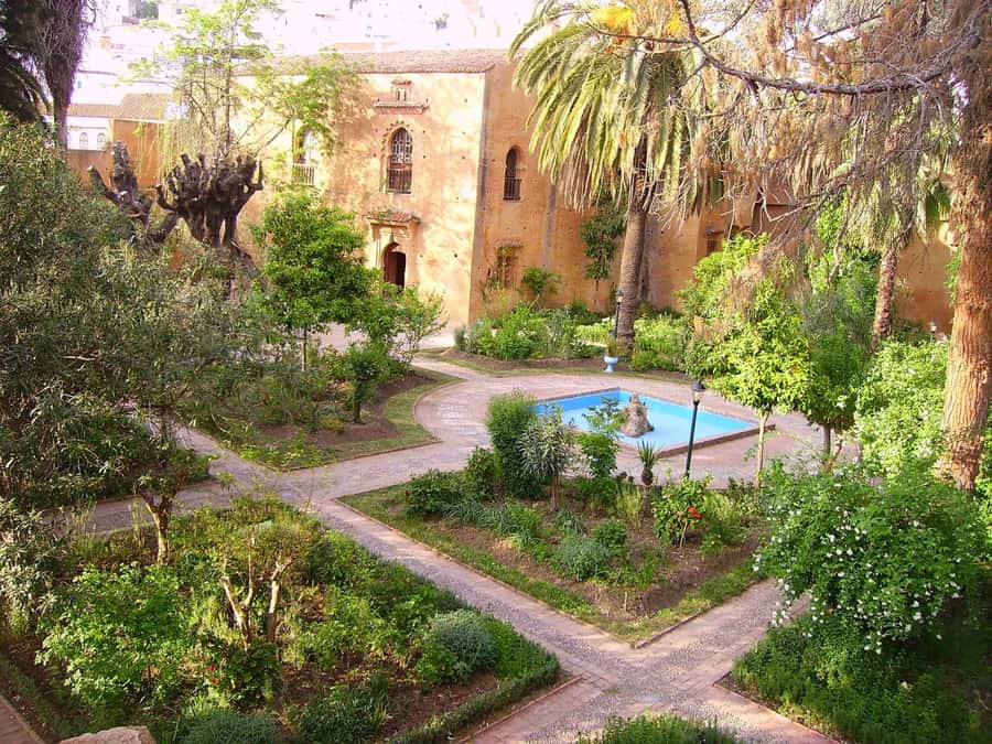 From Tangier: Chefchaouen Guided Full-Day Trip - Transportation Comfort on Curvy Mountain Roads