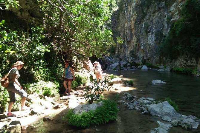 From Tangier: Day Trip to Chefchaouen and Akchour Waterfalls - Akchour waterfalls: what a “light” hike really means in practice