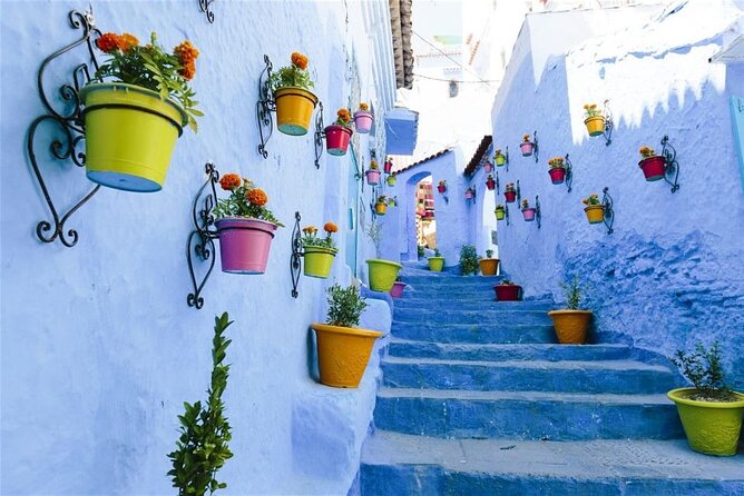 From Tangier: Day Trip to Chefchaouen and Akchour Waterfalls - Swimming at Akchour: cold water is part of the deal