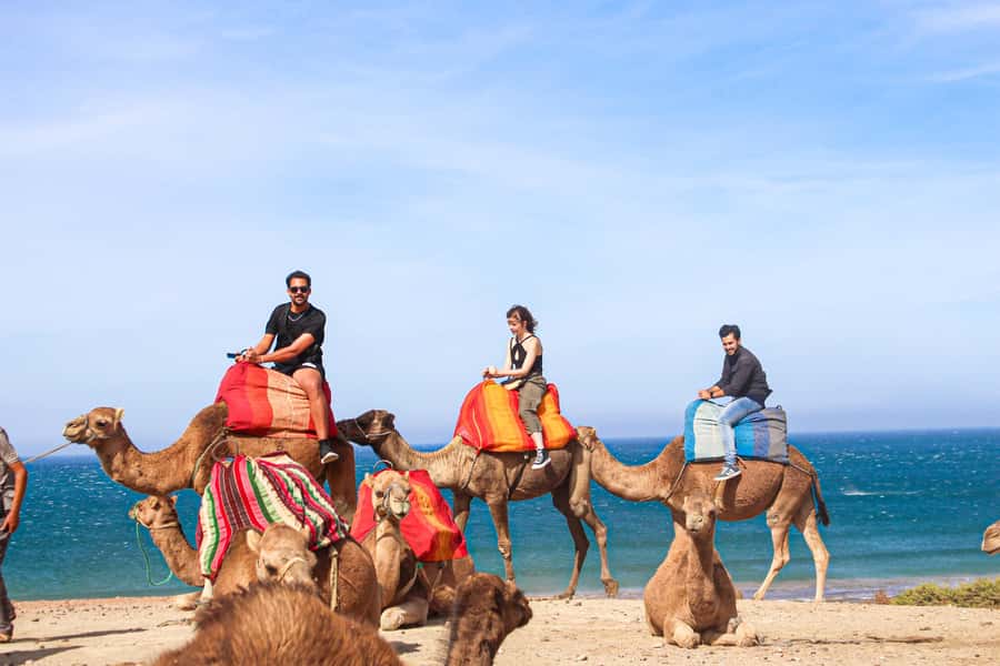 From Tangier: Full-Day Tangier, Asilah, & Cape Spartel Tour - Cape Spartel: Where You See the Strait of Gibraltar in Real Life