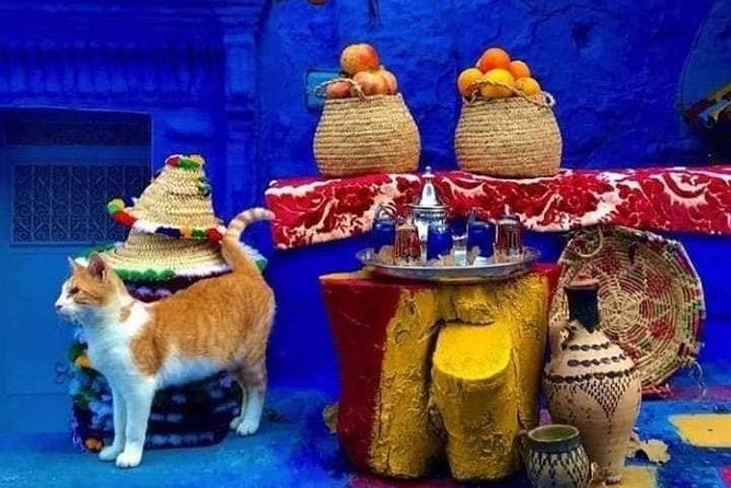 From Tangier: Special Day Trip to Chefchaouen and Tetouan - Chefchaouen Medina with a local guide: your 2 hours that matter