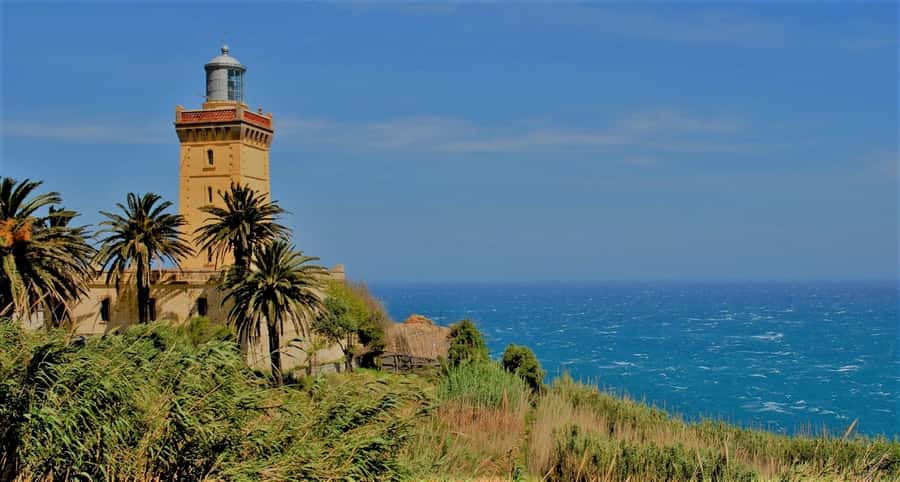 From Tarifa: Tangier Full-Day Trip with Lunch - Camel ride option: fun if you fit it into your priorities