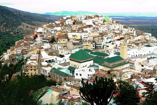 Full-day Historical Meknes Volubilis and Moulay Idriss Tour - Key points that matter before you go