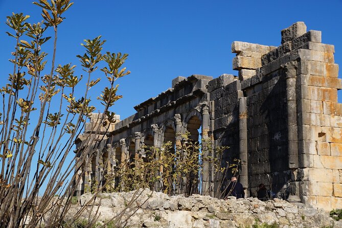 Full-day Historical Meknes Volubilis and Moulay Idriss Tour - A day that strings together three big eras, starting from Fez
