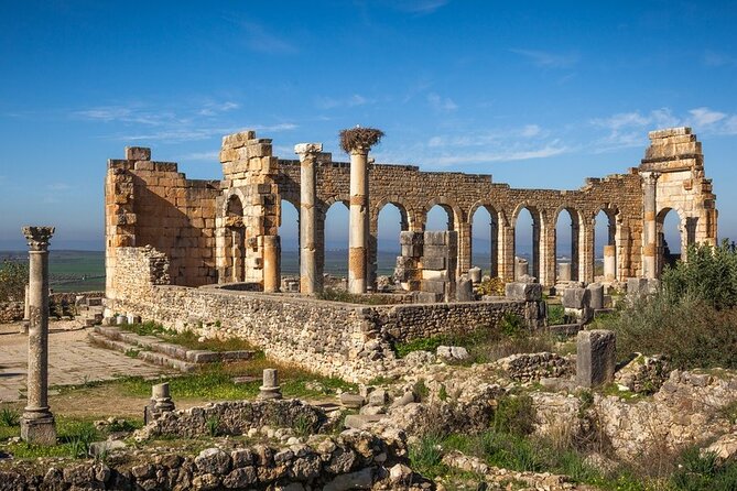Full-day Historical Meknes Volubilis and Moulay Idriss Tour - Transportation and group size: where the day feels smooth