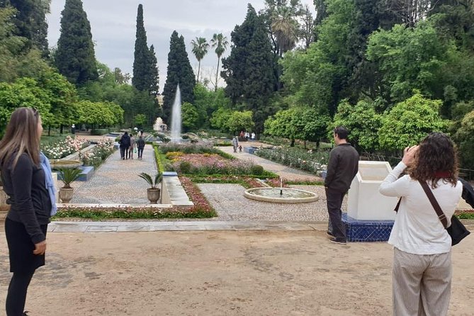 Full-Day Private Tour of Fez - Mosques and shrines: what you can enter versus what you can only view