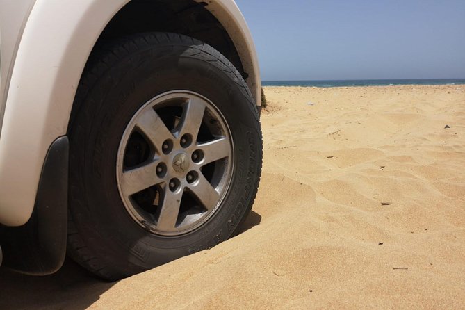 Full-Day Safari Small Desert With Lunch - Fishermen village and the Atlantic coast: sea views with a working vibe