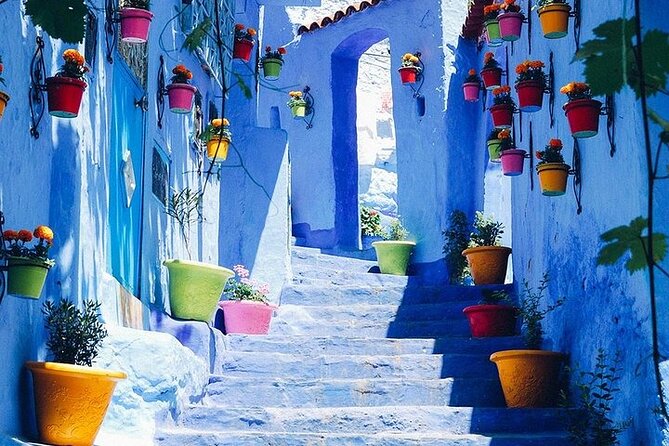 Full Day Tour The Blue City , CHEFCHAOUEN on small-group - Who this tour suits best in Fez