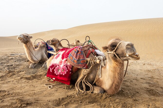 Full Day Tour to Desert Trip in Agadir with Lunch - Agadir to the Small Desert: Why This Day Feels Worth It