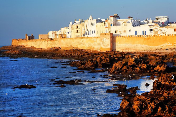 Full-Day Tour to Essaouira - The Ancient Mogador City from Marrakech - Key Things I’d Plan Around
