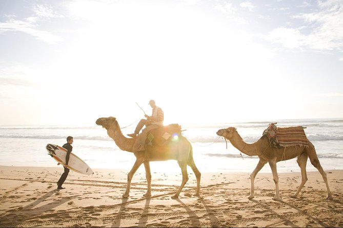 Full-Day Tour to Essaouira - The Ancient Mogador City from Marrakech - Free Time After the Walk: Fishermen, Beach Air, and Where to Eat