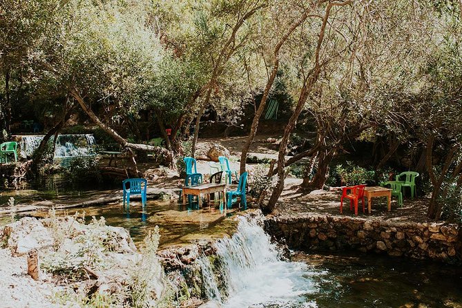 Full Day trip To chefchaouen including 3 courses lunch - Chefchaouen Medina guided walk, plus why the blue lanes work best with a guide