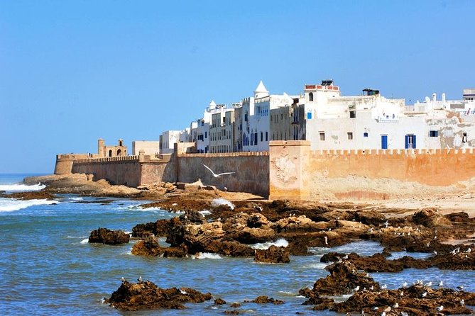 Full Day Trip To Essaouira city - Departure From Marrakech - Why a Marrakech to Essaouira day trip actually works