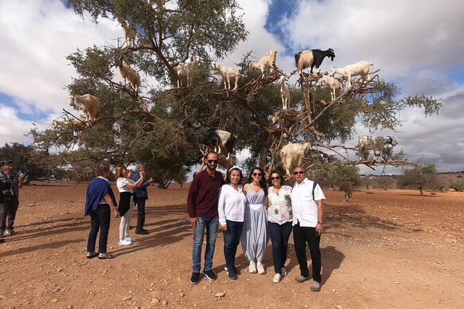 Full Day Trip To Essaouira city - Departure From Marrakech - Transfers and guide support: what’s included, and what you’ll still pay for