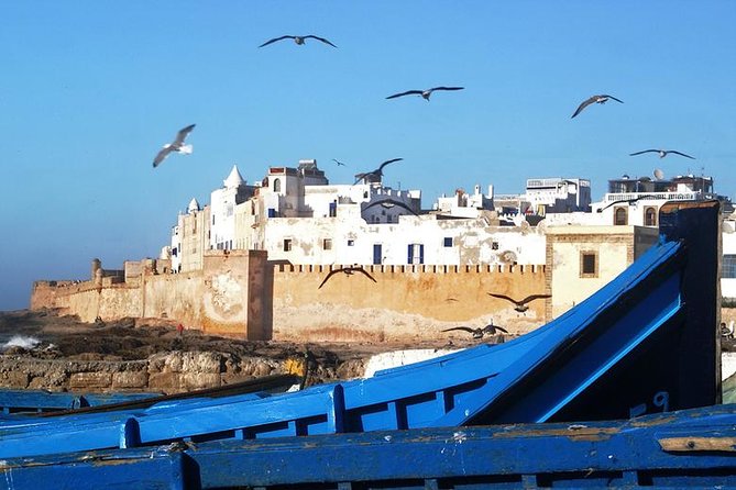 Full Day Trip To Essaouira city - Departure From Marrakech - Who this tour is best for, and who should skip it