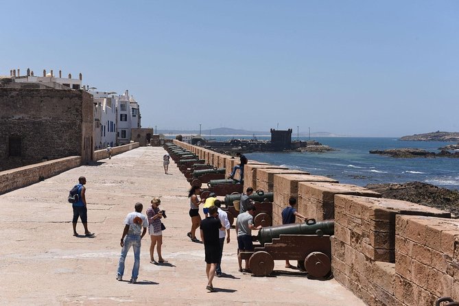 Full Day Trip To Essaouira city - Departure From Marrakech - Morning pickup, minivan ride, and the argan oil factory stop
