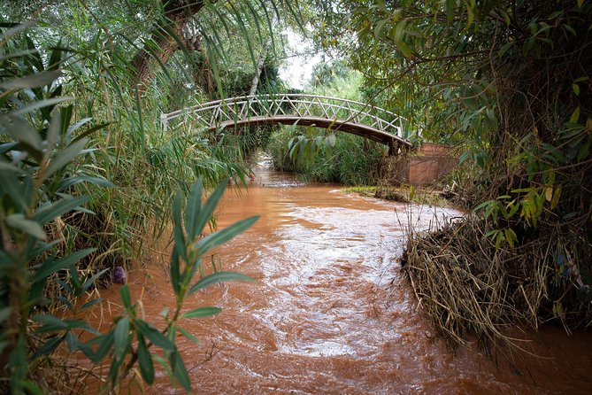 Full Day Trip To Ouzoud Waterfalls From Marrakech & Boat Tour - Who this trip suits, and who should think twice