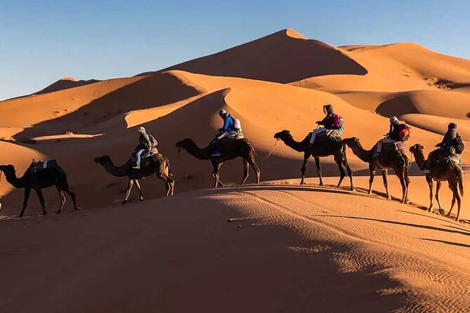Group 3-Day Marrakech to Merzouga Desert Tour - A 3-day hit of Atlas peaks and Merzouga dunes