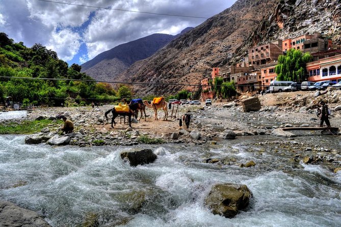 Group shared day tour to Ourika valley & Atlas Mountains - Ourika Valley and Atlas Mountains: Why This Marrakech Day Trip Feels Different