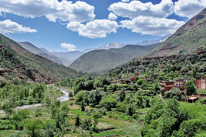 Group shared day tour to Ourika valley & Atlas Mountains - The Argan Oil Co-op Stop: A Practical Souvenir You Can Explain