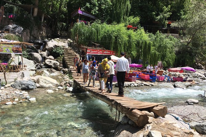 Group shared day tour to Ourika valley & Atlas Mountains - Hike Reality Check: Shoes, Footing, Monkey Chances, and Waterfall Views