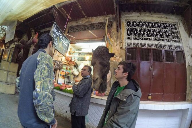 Half-Day Guided Tour in Fes - Price and Logistics: What $13.96 Really Buys You