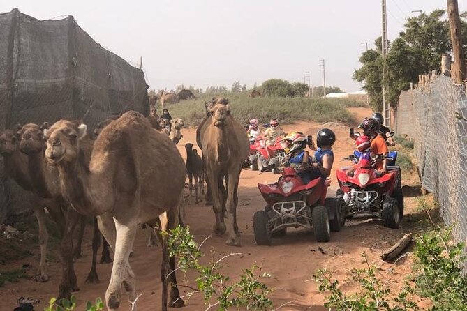 Half Day Quad in Agadir - The Countryside Route: Dunes, Argan and Eucalyptus, Berber Villages