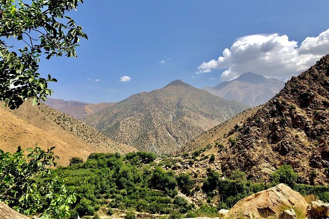 Half Day Tour From Marrakech to the Atlas Mountains & Ourika Valley - Ourika Valley: tea by the river and a Berber breakfast you will actually remember