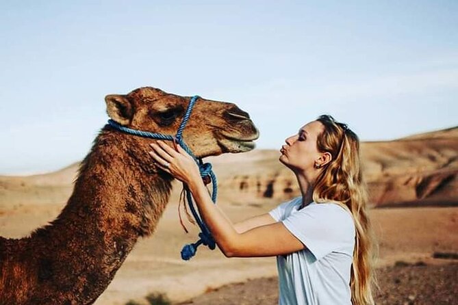 High Atlas Mountains and Imlil Valley Tour from Marrakesh - Key things that make this Atlas and Imlil tour work