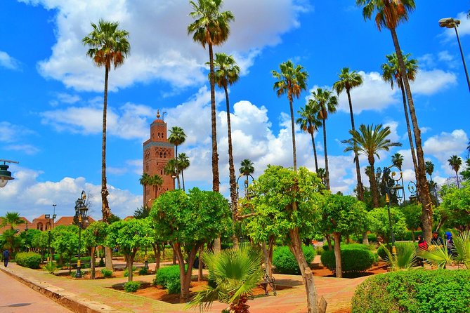 Highlights of Marrakech: Private Half-Day City Tour - Farnatchi and Hammam History: A Taste of Everyday Life