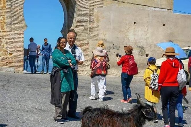 Highlights of Tangier Half Day Tour Include Lunch - Medina Petite Socco, shopping with a guide and lunch with tajine