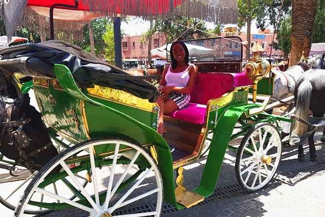 Horse and Carriage Ride with Majorelle Garden - Air-Conditioned Minibus Transfers: Comfort Before and After