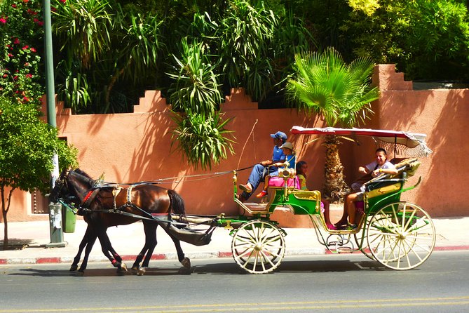 Horse and Carriage Ride with Majorelle Garden - Agdal and Menara Gardens: Why the Tour Adds More Than One Stop