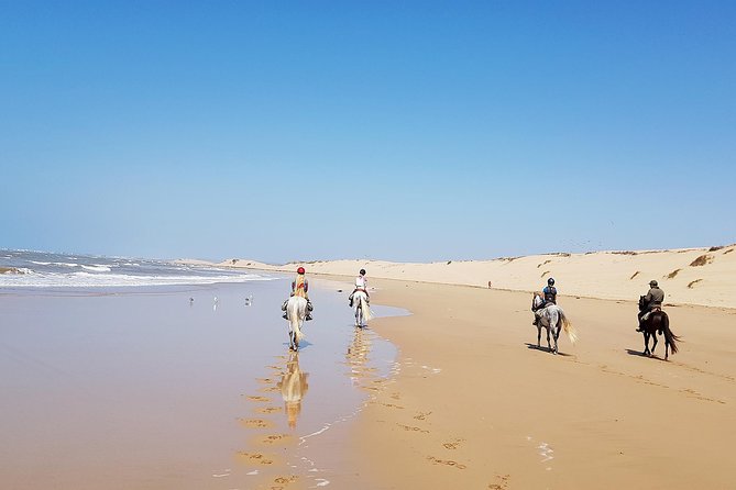 Horse Ride on the Beach in Essaouira - What the 2 Hours Feels Like, Timing and Rhythm