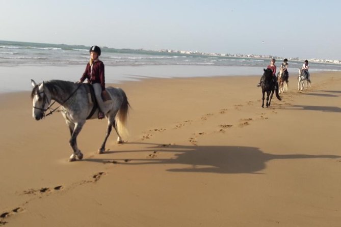 Horse Ride on the Beach in Essaouira - Pickup, Stables, and Why the Location Matters in Essaouira