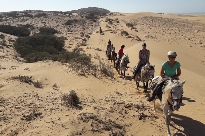 Horse Ride on the Beach in Essaouira - Price and Value: Is $40.71 Worth a Private Beach Ride?