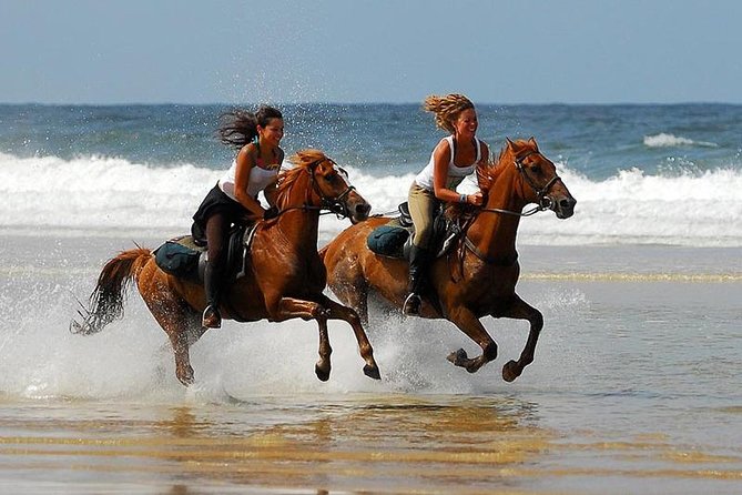 Horse Riding Agadir - First impressions: what this ride feels like in real life