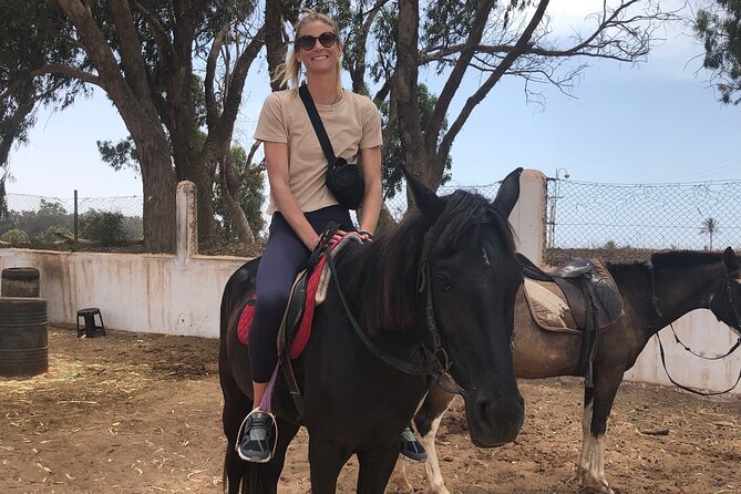 Horse Riding Agadir - Sand dunes and possible gallops: what changes with your skill level