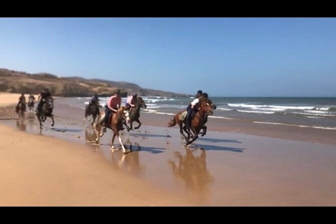 Horse Riding Agadir - Pickup, timing, and group size: why it affects your enjoyment