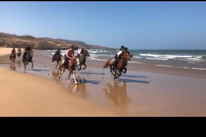 Horse Riding Agadir - Safety and comfort tips that matter on real rides