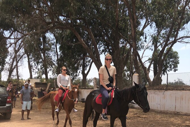 Horse Riding Agadir - From your hotel to eucalyptus shade: how the trip starts