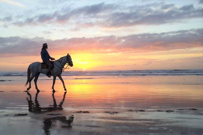 Horse riding at sunset for 2 hours - Key highlights you should notice before you book